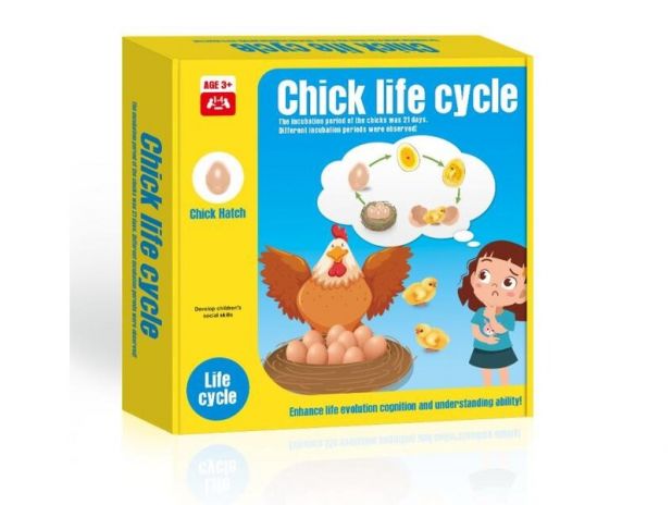 Gra Edukacyjna Zestaw Naukowy Życie Kurczaków 5216